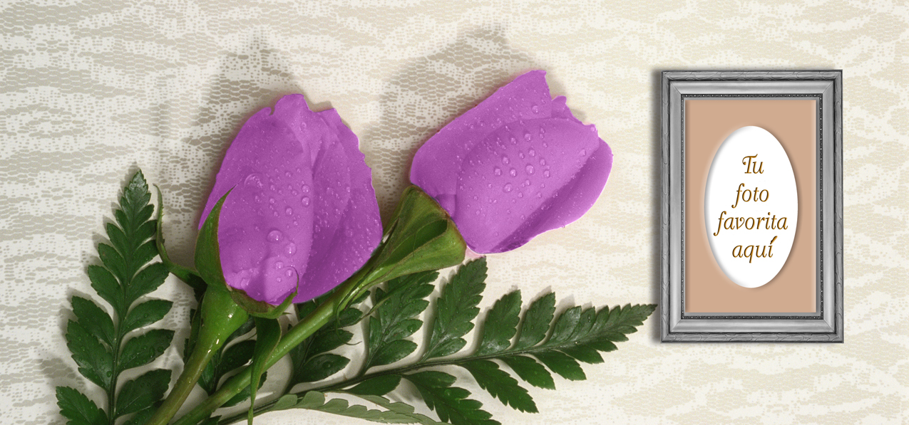 2 Roses Lavender (Spanish)